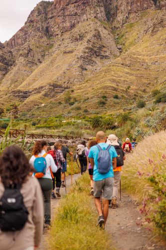 bioagaete-caminata-san-pedro-el-hornillo-0004