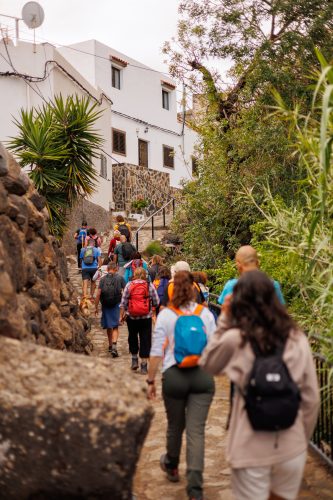 bioagaete-caminata-san-pedro-el-hornillo-0008