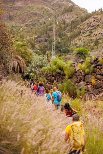 bioagaete-caminata-san-pedro-el-hornillo-0012