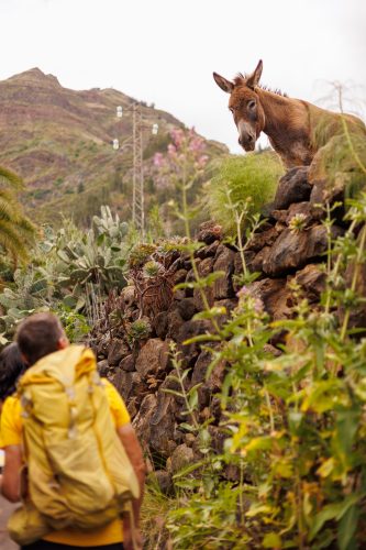 bioagaete-caminata-san-pedro-el-hornillo-0013