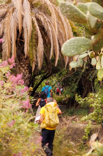 bioagaete-caminata-san-pedro-el-hornillo-0015