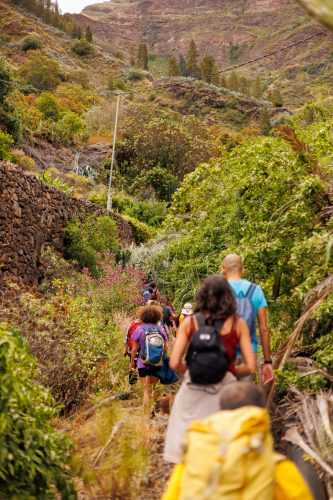 bioagaete-caminata-san-pedro-el-hornillo-0016