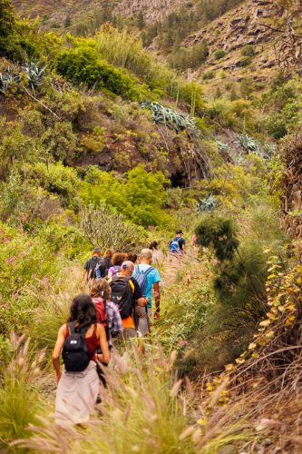 bioagaete-caminata-san-pedro-el-hornillo-0018