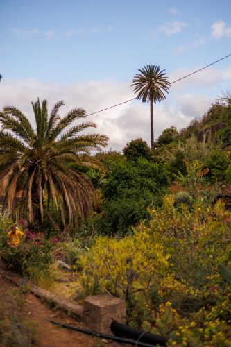 bioagaete-caminata-san-pedro-el-hornillo-0019