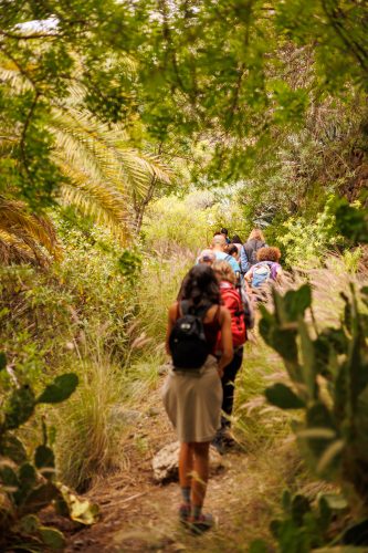 bioagaete-caminata-san-pedro-el-hornillo-0020