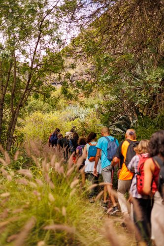 bioagaete-caminata-san-pedro-el-hornillo-0021