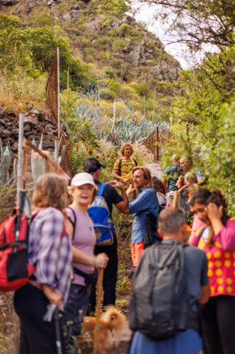 bioagaete-caminata-san-pedro-el-hornillo-0022