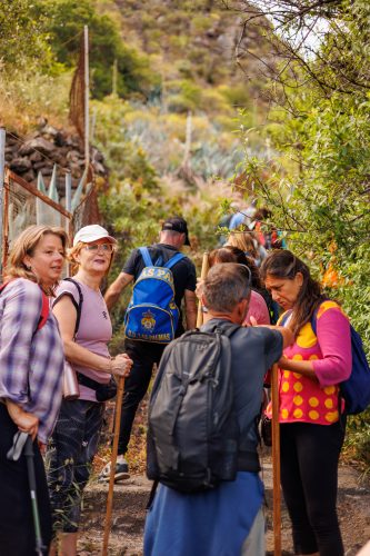 bioagaete-caminata-san-pedro-el-hornillo-0024