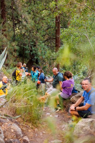 bioagaete-caminata-san-pedro-el-hornillo-0026