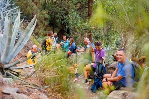 bioagaete-caminata-san-pedro-el-hornillo-0027