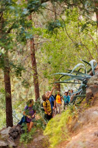 bioagaete-caminata-san-pedro-el-hornillo-0029