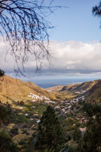 bioagaete-caminata-san-pedro-el-hornillo-0030