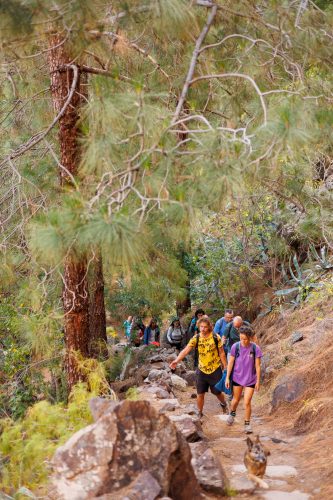 bioagaete-caminata-san-pedro-el-hornillo-0031