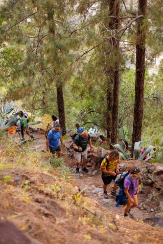 bioagaete-caminata-san-pedro-el-hornillo-0032