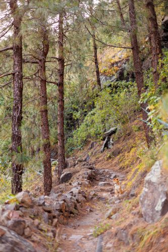 bioagaete-caminata-san-pedro-el-hornillo-0033