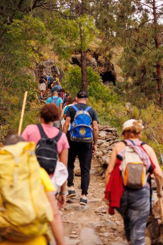 bioagaete-caminata-san-pedro-el-hornillo-0035