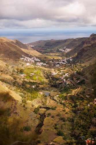 bioagaete-caminata-san-pedro-el-hornillo-0036