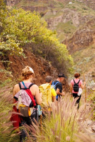 bioagaete-caminata-san-pedro-el-hornillo-0037