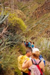 bioagaete-caminata-san-pedro-el-hornillo-0039