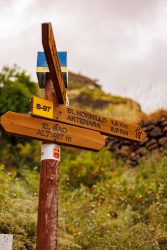 bioagaete-caminata-san-pedro-el-hornillo-0040