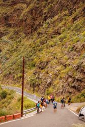 bioagaete-caminata-san-pedro-el-hornillo-0042