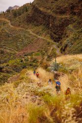 bioagaete-caminata-san-pedro-el-hornillo-0044