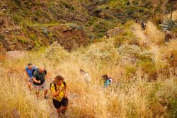 bioagaete-caminata-san-pedro-el-hornillo-0045