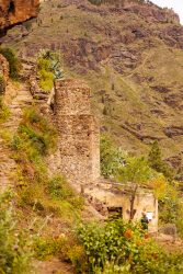 bioagaete-caminata-san-pedro-el-hornillo-0047