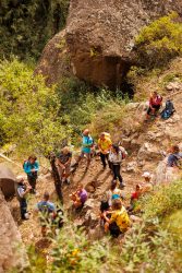 bioagaete-caminata-san-pedro-el-hornillo-0052