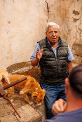 bioagaete-caminata-san-pedro-el-hornillo-0061