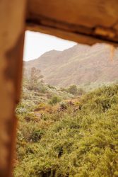 bioagaete-caminata-san-pedro-el-hornillo-0064