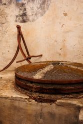 bioagaete-caminata-san-pedro-el-hornillo-0068