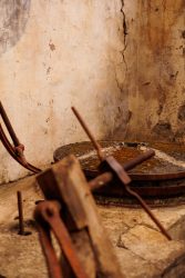 bioagaete-caminata-san-pedro-el-hornillo-0069