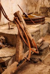 bioagaete-caminata-san-pedro-el-hornillo-0070