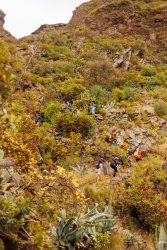 bioagaete-caminata-san-pedro-el-hornillo-0072