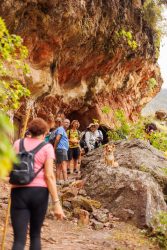 bioagaete-caminata-san-pedro-el-hornillo-0073