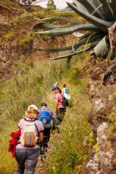 bioagaete-caminata-san-pedro-el-hornillo-0076