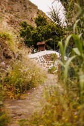 bioagaete-caminata-san-pedro-el-hornillo-0078