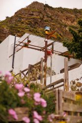 bioagaete-caminata-san-pedro-el-hornillo-0079