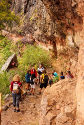 bioagaete-caminata-san-pedro-el-hornillo-0098