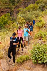 bioagaete-caminata-san-pedro-el-hornillo-0100