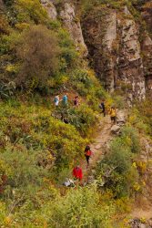 bioagaete-caminata-san-pedro-el-hornillo-0101