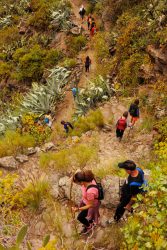 bioagaete-caminata-san-pedro-el-hornillo-0102