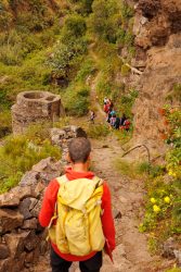 bioagaete-caminata-san-pedro-el-hornillo-0103