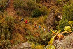 bioagaete-caminata-san-pedro-el-hornillo-0104