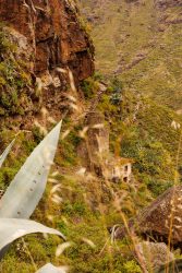 bioagaete-caminata-san-pedro-el-hornillo-0105