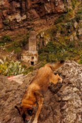 bioagaete-caminata-san-pedro-el-hornillo-0106