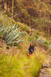 bioagaete-caminata-san-pedro-el-hornillo-0107