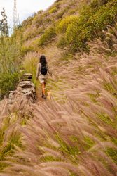 bioagaete-caminata-san-pedro-el-hornillo-0108