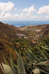 bioagaete-caminata-san-pedro-el-hornillo-0110